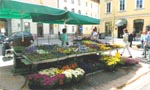 Tržnica - market place