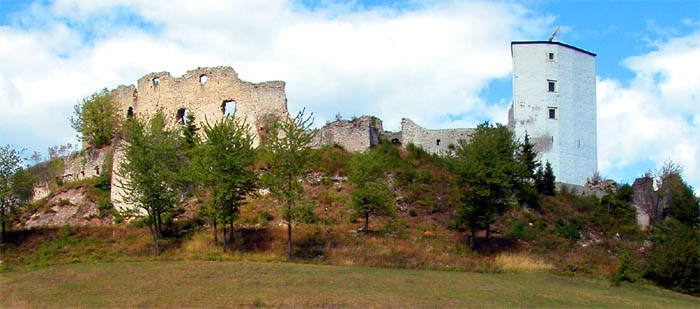 Stari grad (the old castle)